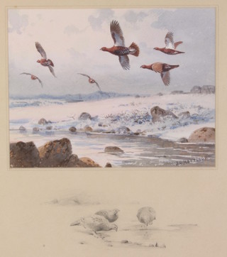 John Cyril Harrison, watercolour, signed, grouse in flight in a winter landscape, the border with a pencil sketch of a grouse 6 3/4" x 8 1/2" 