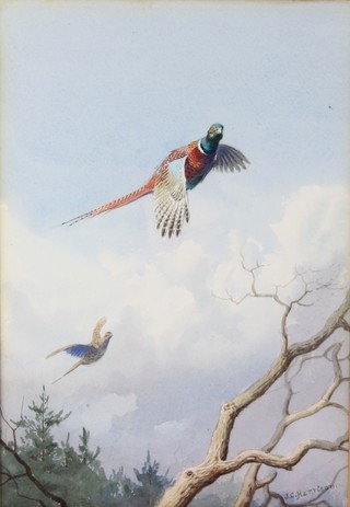 John Cyril Harrison, watercolour, signed, pheasants in flight 13" x 9" 