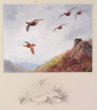 John Cyril Harrison, watercolour, signed, study of grouse in flight over moorland, the border with a pencil sketch of grouse 6 1/2" x 8 1/2" 