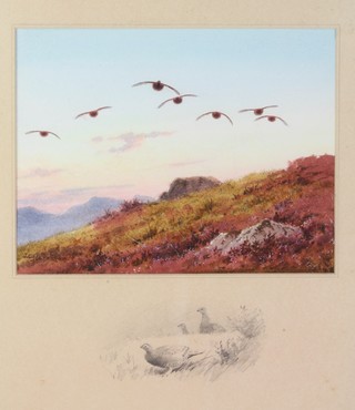 John Cyril Harrison, watercolour, signed, study of grouse in flight at sunset over moorland, the border with pencil sketch of grouse 6 1/2" x 8 1/2" 