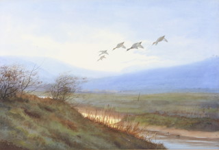  Edwardian watercolour, unsigned, study of ducks in flight in a moorland setting 10" x 14" 