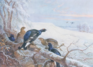 Archibald Thorburn, a print signed in pencil, study of grouse in a winter setting 8" x 11" 