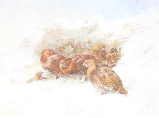 Archibald Thorburn, a print signed in pencil, study of grouse in a winter setting 8" x 10" 
