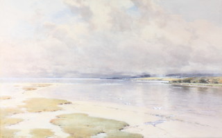 Frederick Tucker, watercolour, signed, seagulls on an inlet 17" x 27" 