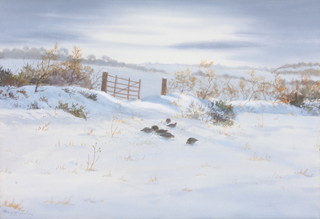 Philip Rickman, watercolour, a winter landscape with feeding partridges 10" x 14 1/2" 