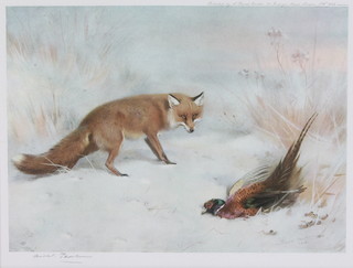 Archibald Thorburn, print, signed in pencil, a study of a fox and pheasant in a winter landscape 8" x 10 1/4" 
