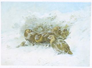 Archibald Thorburn, print, signed in pencil, grouse in a winter landscape 8" x 10 1/2"