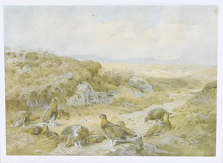 Archibald Thorburn, print, signed in pencil, game birds in a moorland setting 8" x 10 3/4"