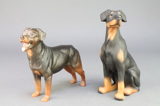 A Beswick figure of a standing Rottweiler 8", a similar figure of a Doberman  Pinscher  7"  