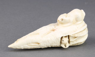 A Japanese carved ivory Netsuke in the form of a rabbit sitting on a cob with a baby rabbit appearing from the side 2 1/2" 