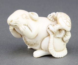 A Japanese carved ivory Netsuke in the form of a crouching rat with a tortoise on his back, signed 1 3/4" 