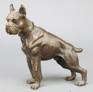 A bronze figure of a standing Mastiff 7 1/2" 
