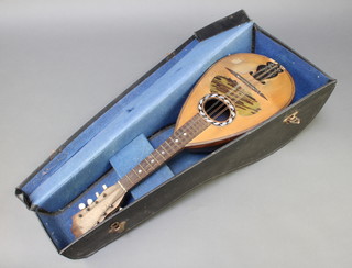 An 8 stringed mandolin