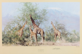David Shepherd, a limited edition print 33/850 "High and Mighty", signed in pencil 33/850 12" x 17" 