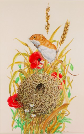 Richard Orr, watercolour, signed, a harvest mouse above its nest amongst poppies and wheat 17" x 11" 