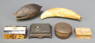 A carved "coconut" in the form of a fish 4", a 19th Century tortoiseshell snuff box 1" x 3" x 1 1/2" and other various curios 