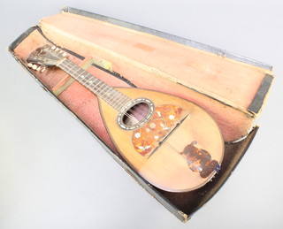 A mandolin labelled Luigi Doppi 