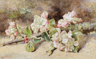 Coleman Angell, watercolour, signed, still life study of apple blossom,  6" x 10" contained in a decorative gilt frame with old label to the reverse - John A Colling New Bond Street  