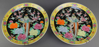 A pair of early 20th Century Chinese black ground chargers decorated exotic birds with floral rims 13 1/2" 