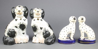A pair of black and white Staffordshire Spaniels with gilt collars 7" together with a pair of Lancaster and Sandland seated Dalmatians 5" 