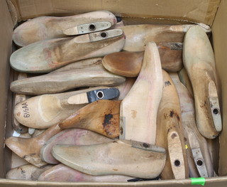 26 various beech wood shoe forms 
