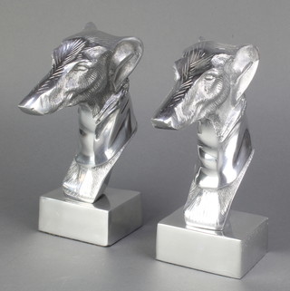 A pair of chromed head and shoulders portrait busts of greyhounds, raised on square bases 9" 