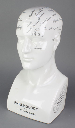 A large Victorian style phrenology head 16" 