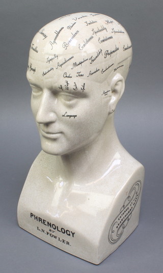 A large reproduction phrenology head 17" 