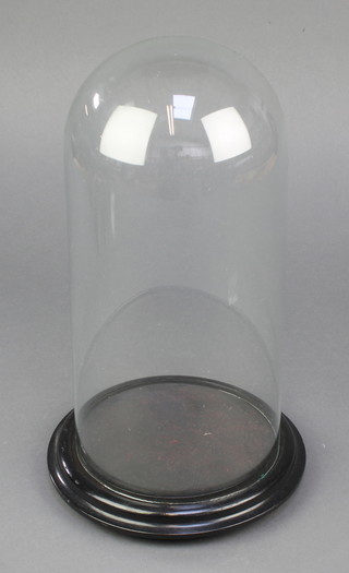 A Victorian glass dome 11" x 6 1/2" (slight chip to base) 