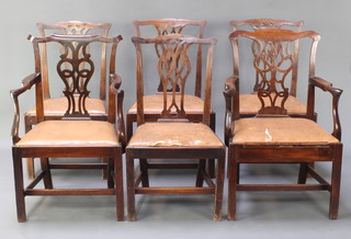 A harlequin set of 6 19th Century Chippendale style mahogany dining chairs with pierced vase shaped slat backs and upholstered drop in seats, comprising a pair of carver chairs and 4 standard chairs
