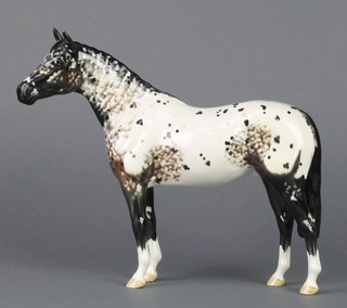 A Beswick Appaloosa Stallion (A)H1772, colourway 2, 8" 