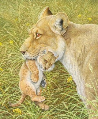 Richard Orr, watercolour, signed, study of a lioness and lion cub amongst grass 17" x 14"