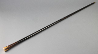 A Georgian specimen wood walking cane with 18ct gold knop 