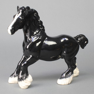 A Beswick figure Cantering Shire horse, black gloss, 975 8" 
