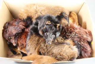 A mink stole, 3 fox furs, various fur stoles 