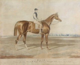 C Hancock, coloured print, equestrian study "Elis, winner of the Great St Leger Stakes at Doncaster 1836" 13" x 16" 