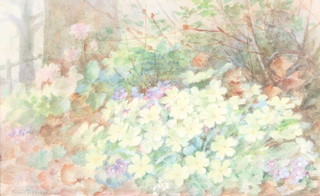 Annie Pressland, watercolour, signed, primroses 8" x 13" 