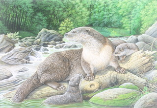 Richard W Orr, acrylic, signed, study of otters in a river scape 14" x 20" 