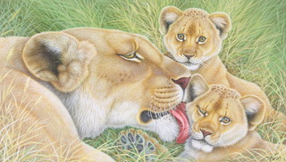 Richard W Orr, acrylic, signed, lioness and cubs 8" x 14 1/2" 