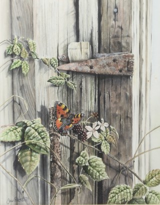 Jean Pritchard, watercolour, study of butterflies on blackberries, signed in pencil 12" x 9 1/2" 