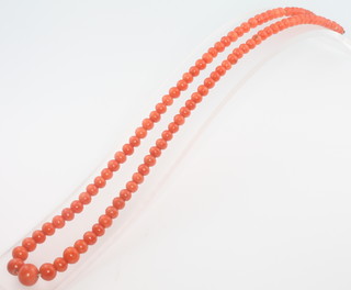 A graduated coral bead necklace with a 9ct clasp 16 1/2" 