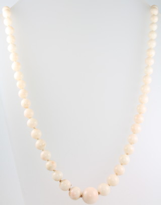 A white coral bead necklace with a 14ct yellow gold clasp 24" 