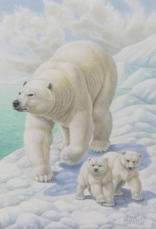 Richard W Orr, signed, gouache study of a polar bear and cubs 10" x 7" 