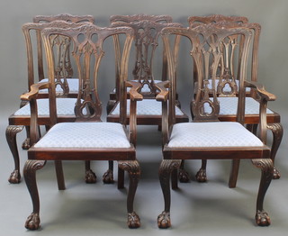 A set of 8 Chippendale style mahogany slat back dining chairs - 2 carvers, 6 standard, with pierced vase shaped backs and upholstered drop in seats, raised on cabriole, ball and claw supports 