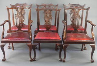 A set of 6 Chippendale style mahogany slat back dining chairs with pierced vase shaped slat backs and upholstered drop in seats, raised on cabriole, ball and claw supports 