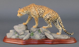 A Border Fine Arts Wild World figure of a leopard A306 13"  