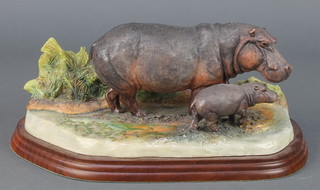 A Border Fine Arts Wild World figure of a hippo and baby A2741 11" 