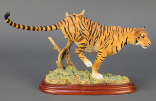 A Border Fine Arts Wild World figure of a tiger A5048 11" 
