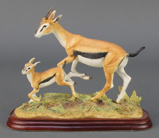 A Border Fine Arts Wild World figure - gazelles A5408 9" 