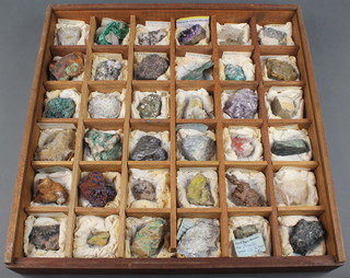 A collection of approx. 154 geological specimens contained in 5 shallow wooden trays from the collection of Mr Bill Walker finder of the dinosaur Baryonyx

